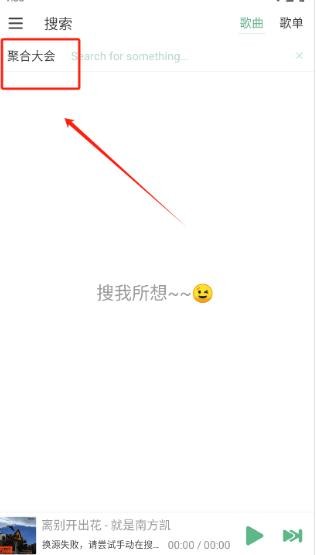 洛雪音乐助手安卓版