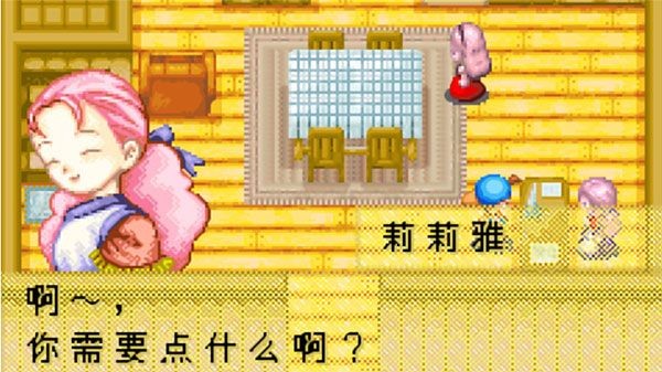 牧场物语重聚矿石镇