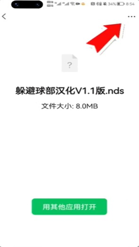 NDS模拟器安卓版