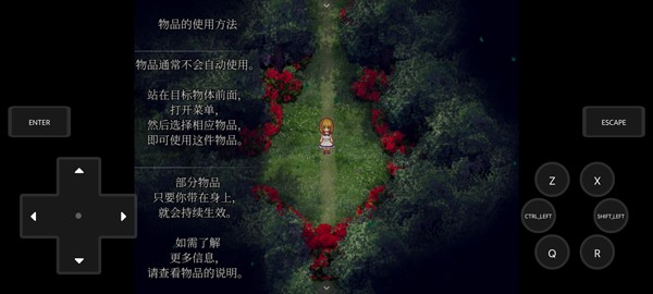魔女之家重制版截图4