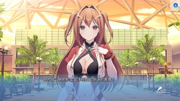 角色扮演之恋极乐公主