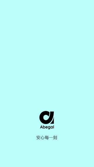 Abegal摄像头截图4