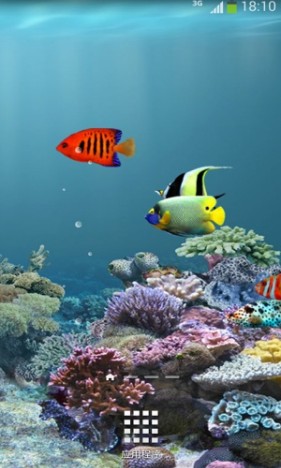 海底动态壁纸