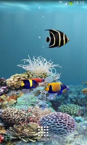 海底动态壁纸