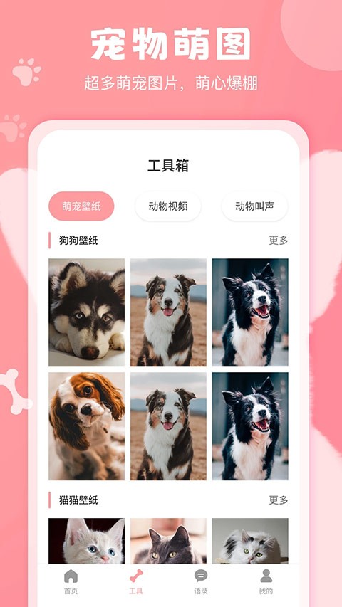 狗语翻译器最新版截图3