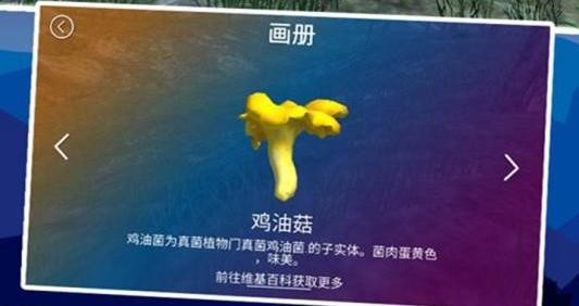 真实采集蘑菇模拟器