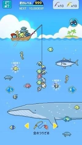迷你水族馆
