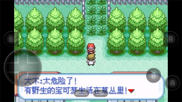 口袋妖怪火红萌娘版