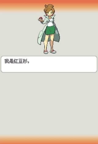 口袋妖怪白2中文版