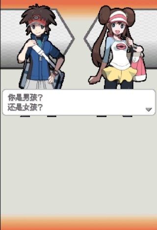 口袋妖怪白2中文版