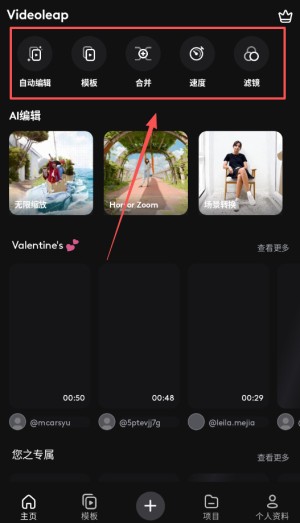 VideoLeap安卓版