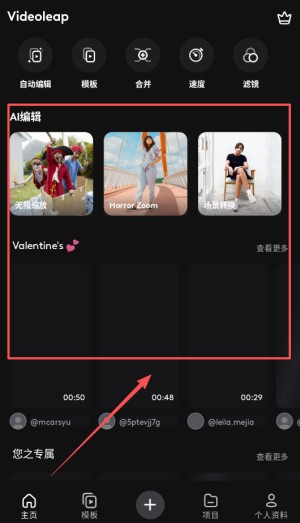 VideoLeap安卓版