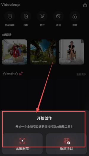 VideoLeap安卓版