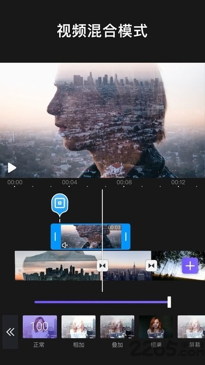 VideoLeap安卓版截图3