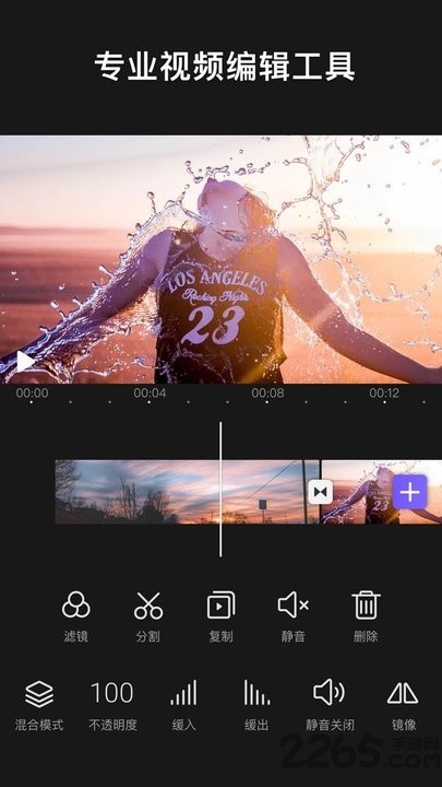 VideoLeap安卓版截图4