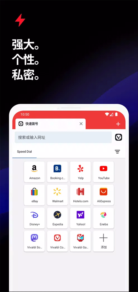 vivaldi浏览器车机版截图1