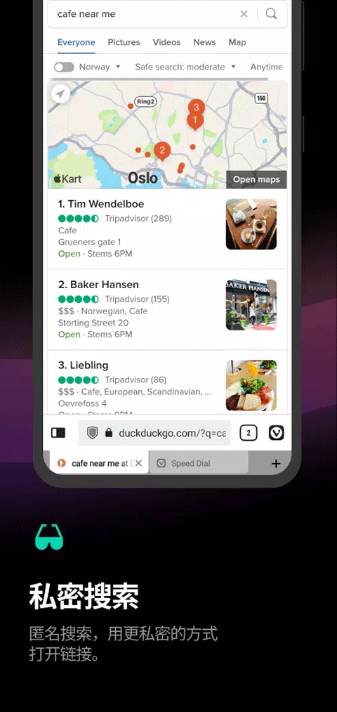 vivaldi浏览器车机版截图4