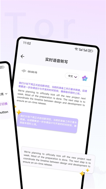 Viitor翻译截图2