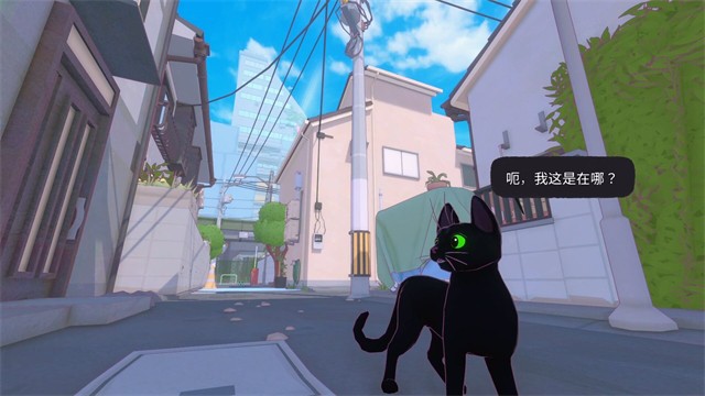 小猫咪大城市中文版截图4